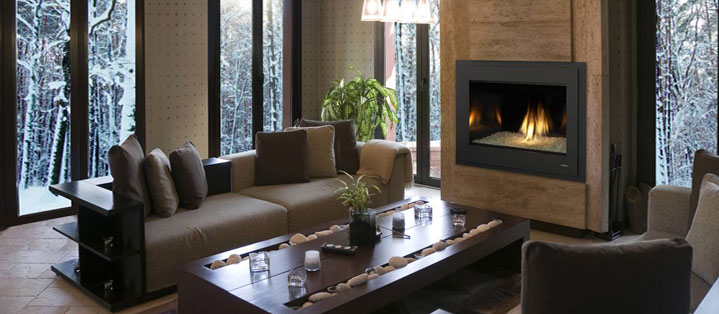 Fireplace Service Vancouver Eco Master